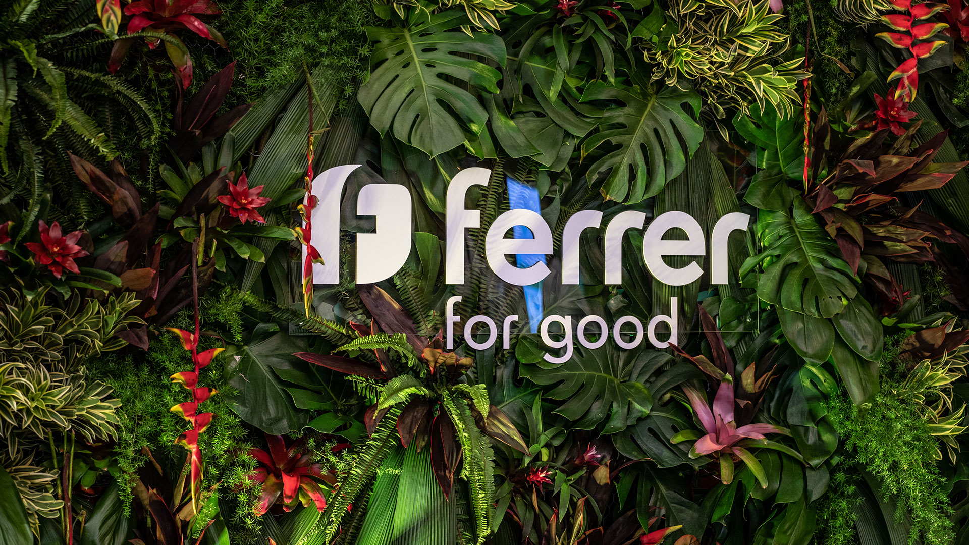 Evento Ferrer Talleres NCG, Ferrer